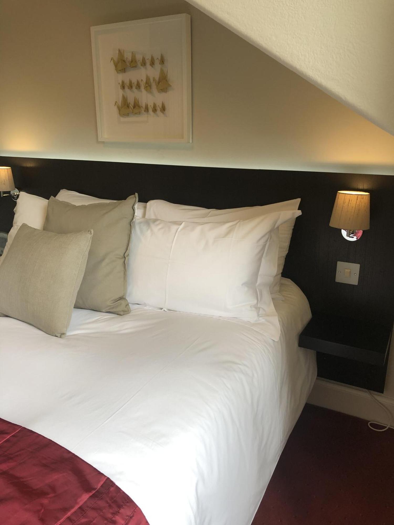 Sheridan Guest House Edinburg Rum bild
